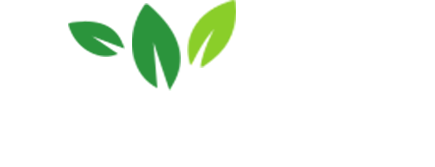 Haruki Health logo with three green leaves above the letter H.